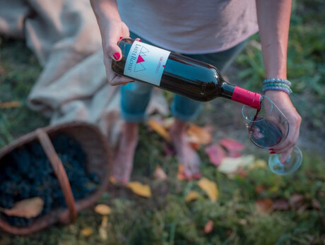 Wine Trekking d'Autunno alla cantina LasteRosse