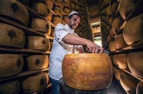 The scent of tradition: in the cheese vault