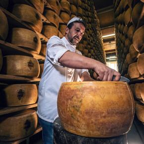 The scent of tradition: in the cheese vault