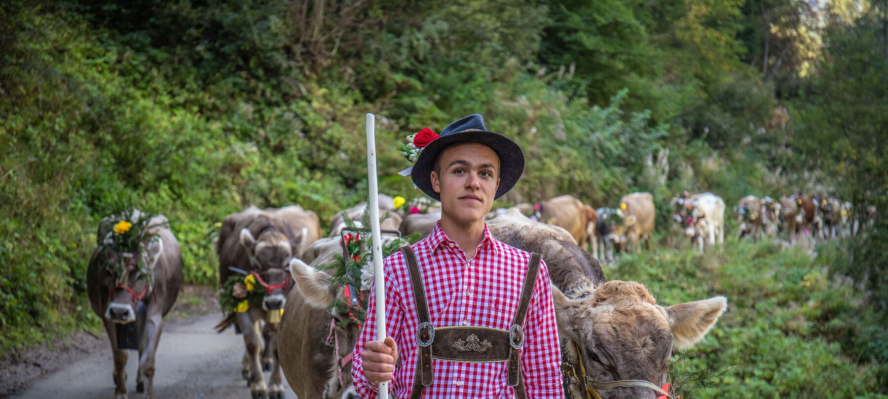 Alpine pasturing in Trentino: Nature, Culture and Traditio
