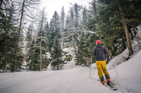 Skitourengehen am Fusse des Vioz