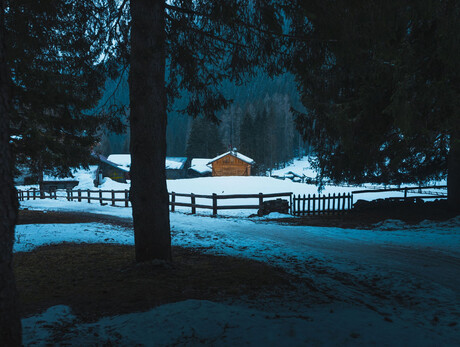 Scrutando tra i boschi: un'escursione con la termocamera