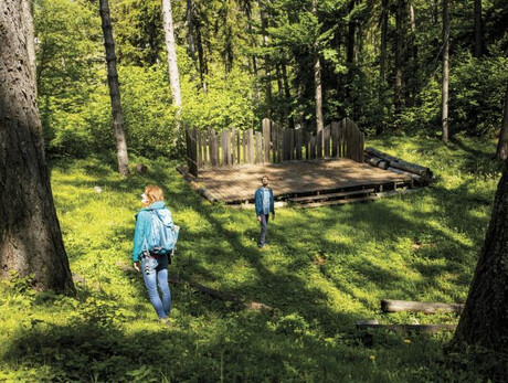 'One must carry nature within oneself': reading Etty Hillesum's Diaries in times of war