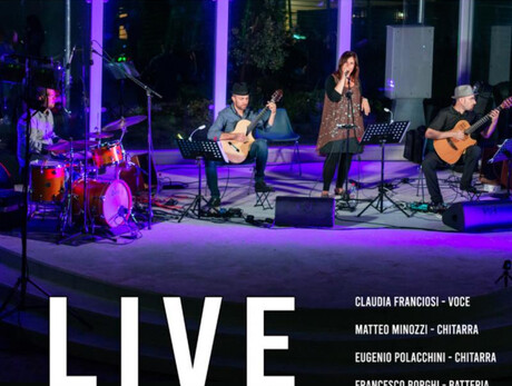 14 Strings Acoustic Qurtet