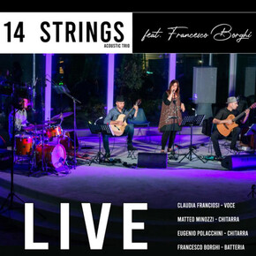 14 Strings Acoustic Qurtet