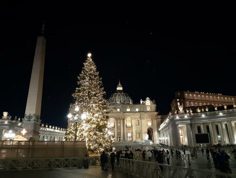 Anzünden des Weihnachtsbaums auf dem Petersplatz