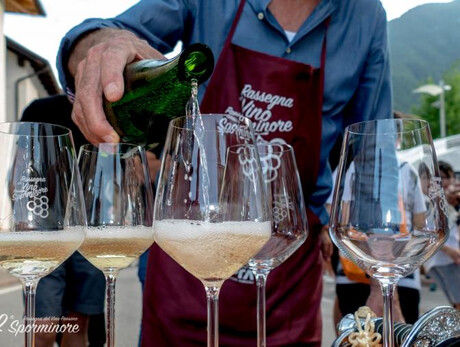 25ª Rassegna del Vino Paesano