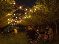Persone di notte che degustano vino sedute sotto le vigne illuminate da lucine