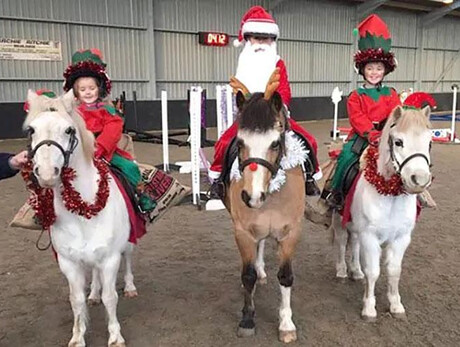 Quarter Horses kids riding!