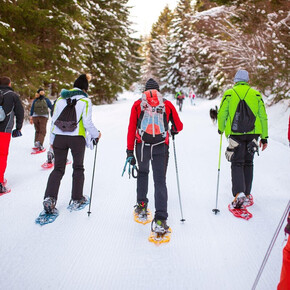 Nell'immagine si vedono alcune persone che camminano nella neve con le ciaspole ai piedi.