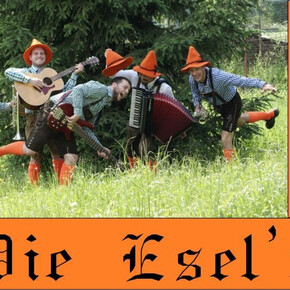 Die Esel'n Folk Rock Band