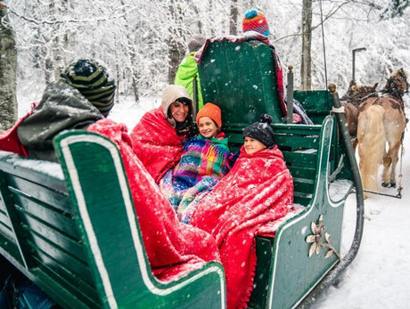Dolomiti Paganella Family Festival