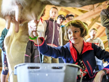 Dolomiti Paganella Family Festival