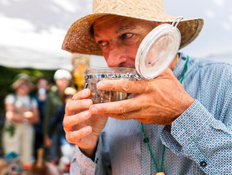 Drought Frame Nature