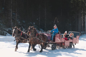 Escursione con slitta trainata da cavalli tra i boschi, i masi e i presepi di Ruffrè