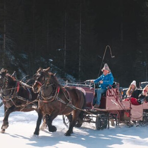 gita in carrozza Capodanno Val di Non