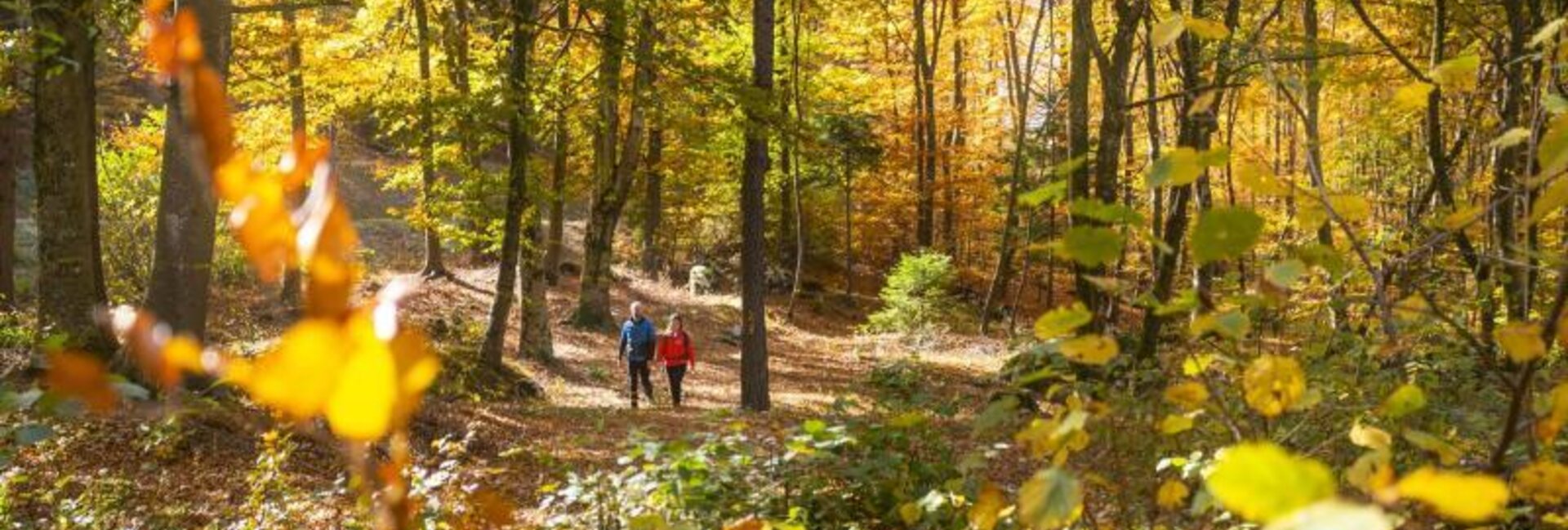 Foliage al Parco del Respiro