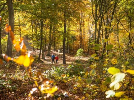 Foliage al Parco del Respiro
