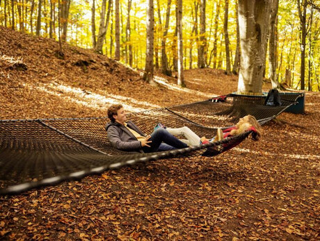 Foliage at the Parco del Respiro