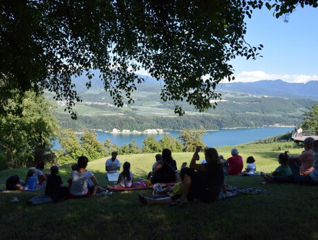 L'albero delle parole