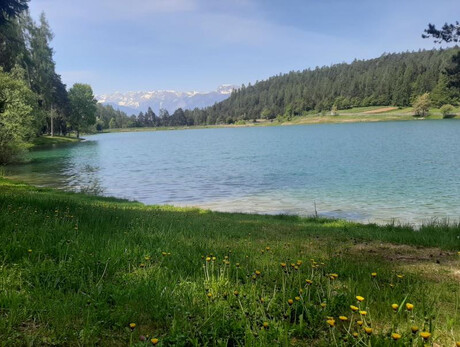 L'armonia e la natura