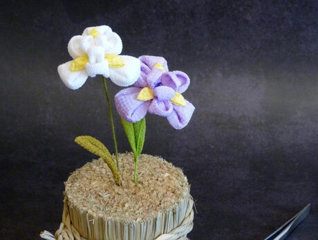 Laboratorio di tsumami zaiku, antica tecnica giapponese, con MOMO KANZASHI: l'iris