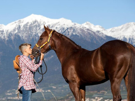 Passeggiata in branco