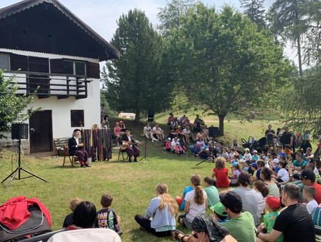 Story of a Cat and a Seagull