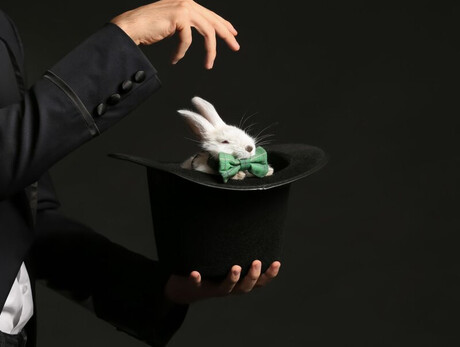 Nell'immagine si vede un mago che fa uscire un coniglio dal suo cilindro