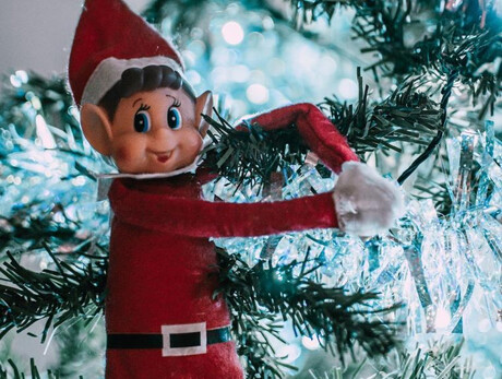 Elf Virgola at Christmas