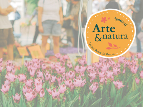Art and Nature in the Centre