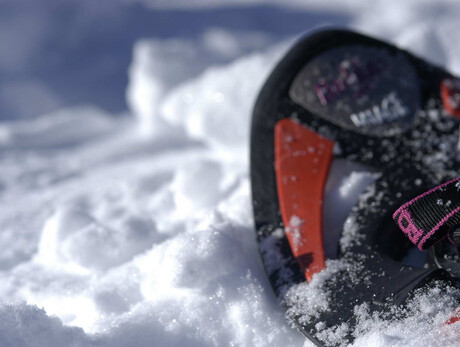 Ciaspolata in notturna sull'Altopiano del Tesino