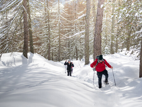 Ciaspolate con guida alpina