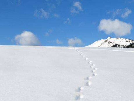 Cima d'Asta SkyRace - Spaziergang ohne Wettkampf