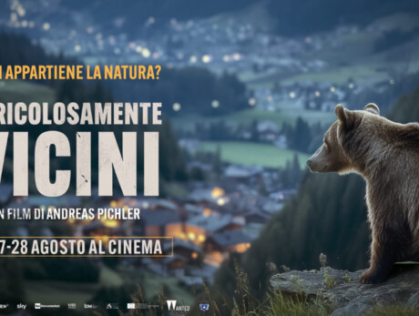Cinema Borgo Valsugana - Pericolosamente Vicini