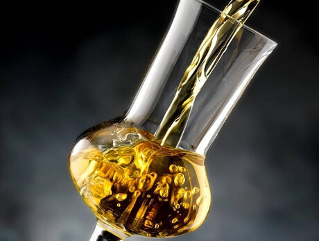 Grappa and liquor tasting