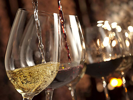  Weinverkostung in der  Kellerei Romanese