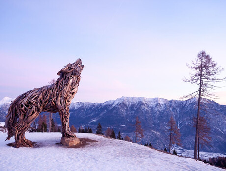 Excursion to the Wolf of Lagorai