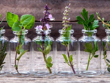 Presentazione del libro "Rasa, Sonda e Bonmaistro"