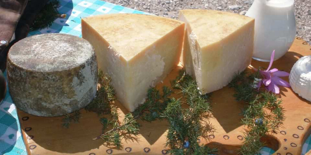 Concorso formaggi di malga