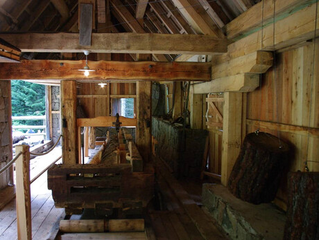 Visita alla Segheria Sog van Rindel