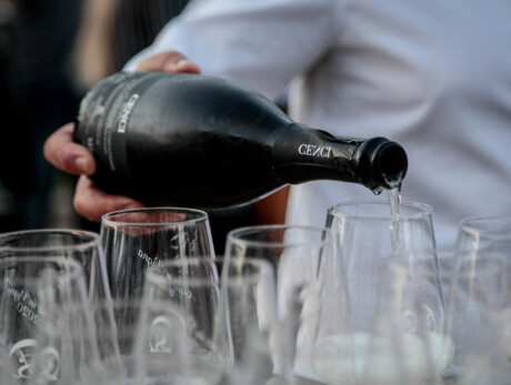 Wine tasting in the Cantina Cenci
