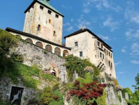 Visit with tasting of Terre del Lagorai winery 