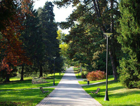 Botanical visit at the Therme park