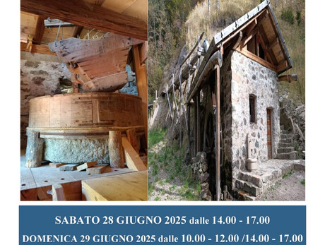 Visite guidate al Molino Lenzi con dimostrazine di macinatura