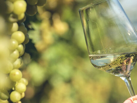  C'&egrave; dell'Arte, perBacco - Exhibition visit with Vallagarina wine tasting 