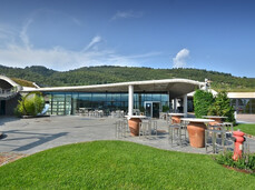  Vom Weinberg bis ins Glas 