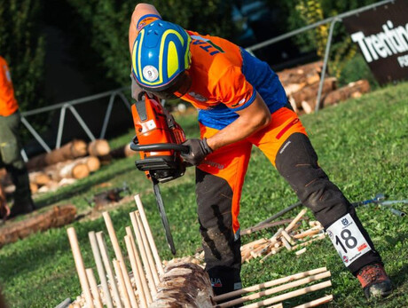  Dar Balt Fest 2025 - La Festa del Bosco 