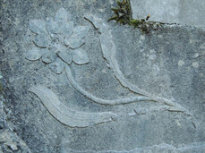 Escursioni sui luoghi della Grande Guerra con Pasubio 100anni