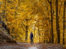  Foliage e sapori in Vallagarina 
